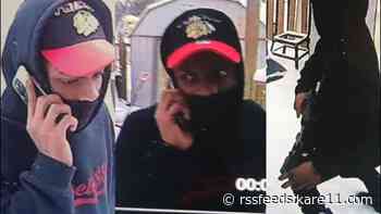 St. Paul police seek burglar who shot family dog, stole automatic weapon