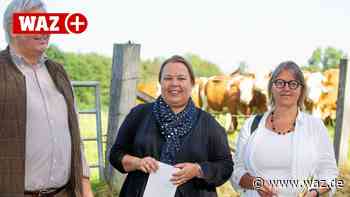 Landwirt Schulte-Stade aus Hattingen mahnt zu mehr Demut - Westdeutsche Allgemeine Zeitung