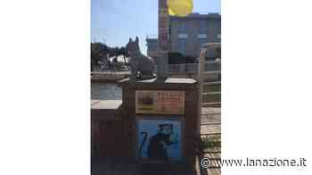 Rubata l’opera di Blub - LA NAZIONE