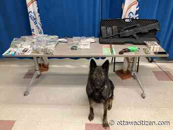 Gatineau police seize guns, hundreds of pills from car and driver