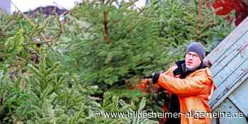 Wohin mit dem Tannenbaum? Die aktualisierte Übersicht für den Kreis Hildesheim - www.hildesheimer-allgemeine.de