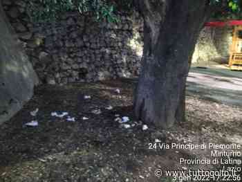 Minturno: Fratelli d'Italia segnala il degrado della Villa Comunale ubicata in prossimità del Comune » Tuttogolfo - Tutto Golfo