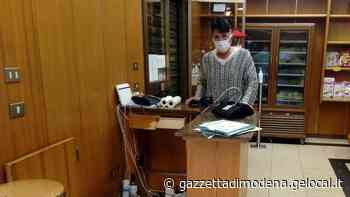 Soliera. Forno Borelli preso d'assalto: danni e fondo cassa rubato - La Gazzetta di Modena