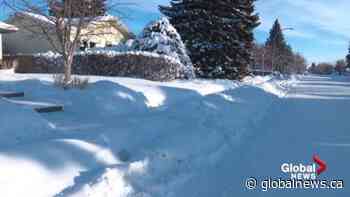 Edmonton family says residential windrows should be maintained after painful incident - Globalnews.ca