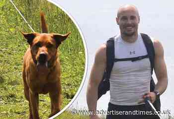 100-mile fundraiser in memory of dog who died from Alabama rot after walk in New Forest - Advertiser and Times