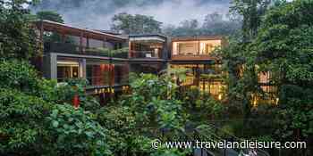 6 Beautiful Rain Forest Hotels With Incredible Views and Wildlife Adventures - Travel+Leisure