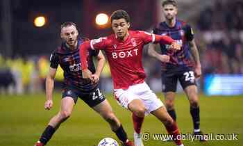 Brenford are keen on Nottingham Forest starlet Brennan Johnson - Daily Mail