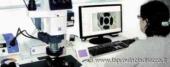 Lecco. Marchi e brevetti Le imprese puntano sulle idee - La Provincia di Lecco