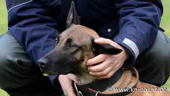 Neue Tierschutzverordnung bringt bundesweit die Polizei in Not