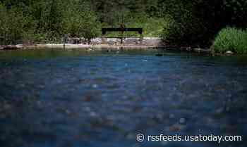 We asked the Forest Service what it does to protect America's water supplies. We're still waiting for answers.