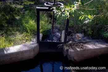 Ditches, ponds and pipelines: Have you seen one of these on forest land?