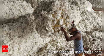Cotton exports begin to slide as traders seek high premiums