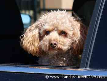 Cornwall letter to the editor, Jan. 5, 2022 - Standard Freeholder