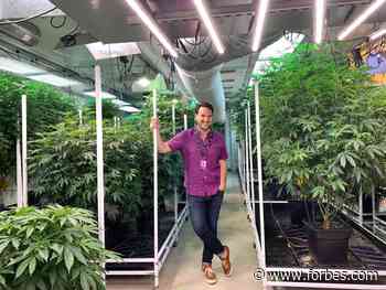 Airfield Supply Co. Launches Aviation, Which Features Sustainable Packaging - Forbes