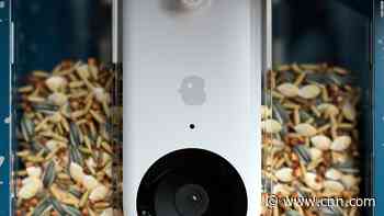 This high-tech bird feeder takes bird watching to the next level