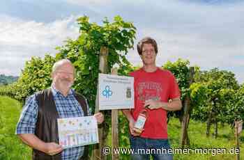 Die erste Million schon fest im Visier - Hirschberg - Nachrichten und Informationen - Mannheimer Morgen