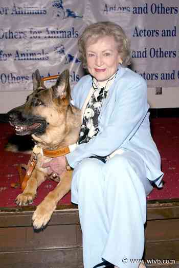 Local animal shelters seeing donations in honor of Betty White