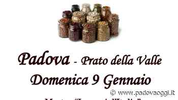 Torna in Prato della Valle la manifestazione "Legumi che passione 2022" - PadovaOggi