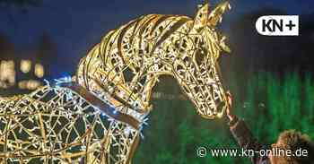 Das können Sie am Wochenende vom 8. und 9. Januar in Schleswig-Holstein unternehmen