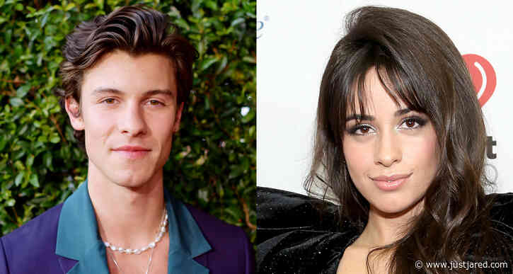 Shawn Mendes & Camila Cabello Met Up in Miami Two Months After Announcing Their Split