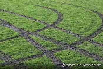 Vandalen vernielen voetbalveld van Merksemse club: “Wat bezielt hen?”