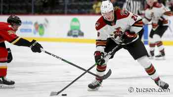 After 8 years and 399 games, Logan Nelson made it to AHL — and Tucson - Arizona Daily Star