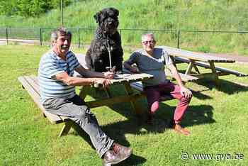 Hondenschool moet wijken voor parkeerplaatsen: “Kil telefoontje” (Ekeren) - Gazet van Antwerpen