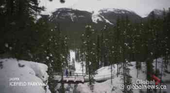 AMA Travel: Jasper in January