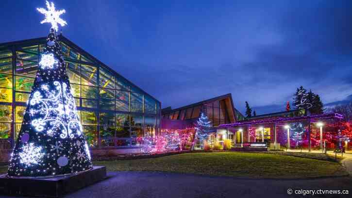 Zoolights makes bonus appearance as Calgary's cold snap nears end