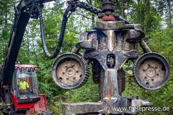 Verschnaufpause für hiesige Wälder - Freie Presse