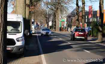 Herinrichting doortocht Wildert : “Dorps en groen karakter behouden”