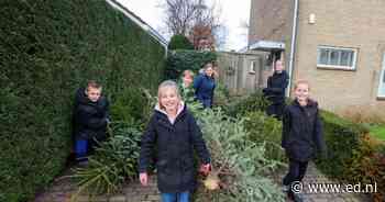Bestse kinderen halen naast kerstboom soms ook een extraatje op - Eindhovens Dagblad