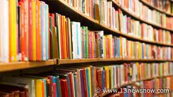 Gloucester library gets shipment of rapid COVID-19 tests people can reserve - 13newsnow.com WVEC