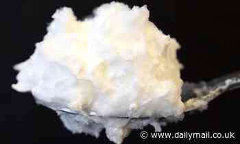 Scientists create vegan egg whites using fungus