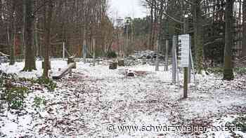 Seilrutschen in Schömberg: Nächste Woche beginnen Arbeiten für Fundamente