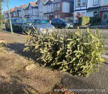 A Tree Is For Life Not Just For Christmas - Anna Smail, Greenshaw High school
