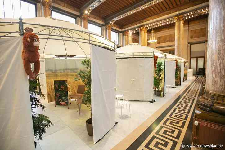 Vaccinatiedorp voor kinderen in Zoo klaar voor start: “Beleving en efficiëntie combineren is dé  uitdaging”