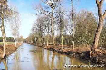 Drastisch hakhoutbeheer langs Antitankgracht moet waterplanten en insecten helpen