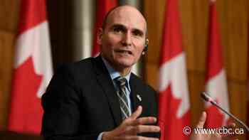 Provinces could make vaccination mandatory, says federal health minister