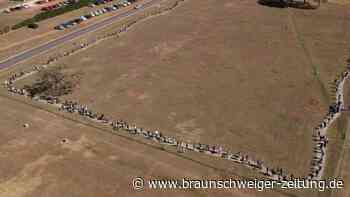 Omikron-Variante: Erster Toter in Brasilien gemeldet