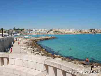Otranto, tra martiri e albero della vita