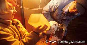 The importance of colostrum