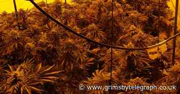 Raid on Brigg property unearths large drugs factory - Grimsby Live