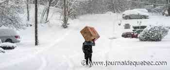 [EN IMAGES] Une tempête de neige paralyse le nord-est des États-Unis