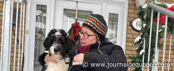 SPA de Québec : une année 2021 remplie d’adoptions