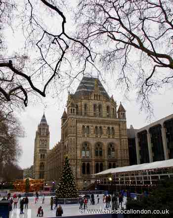 Ice Age - Skating at the Natural History Museum