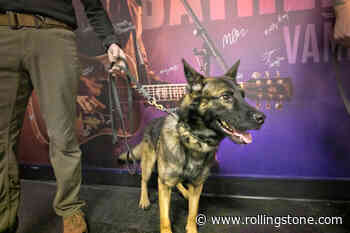 Who Let the Dogs In? Covid-Sniffing Canines Are Helping Keep Metallica, Eric Church on the Road