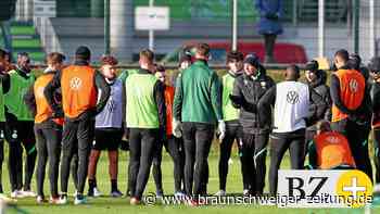 Wird jetzt alles besser beim VfL?