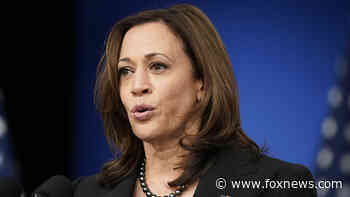 Harris comms chief apologizes after 2010 tweet reemerges asking why illegal immigrants weren't arrested