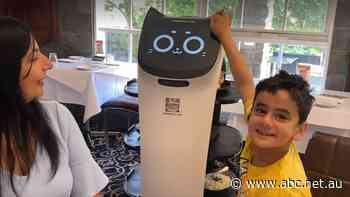 Vessels for vindaloo vindicate Garry's decision to fill staff shortages with robots